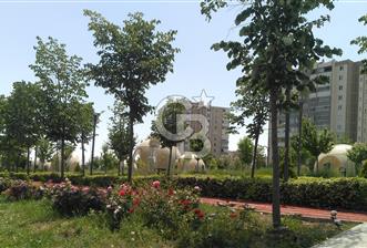 YENİMAHALLE SUSUZ ATA MAHALLESİ BELÖREN PROJESİ İMARDA HİSSELER