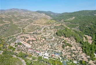 Menderes Çatalça Satılık Tarla (Tek Tapu) - 10 - 310822