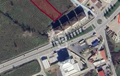 Karacaömer Yol Üstü – 5000 Dönüm İmarlı Arsa (Giriş Üstü 9 Kat)