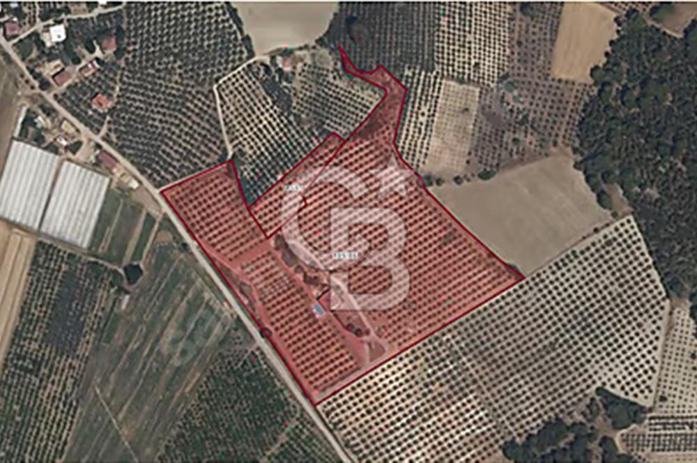 MUĞLA SEYDİKEMER EŞEN DE 37.968 m²