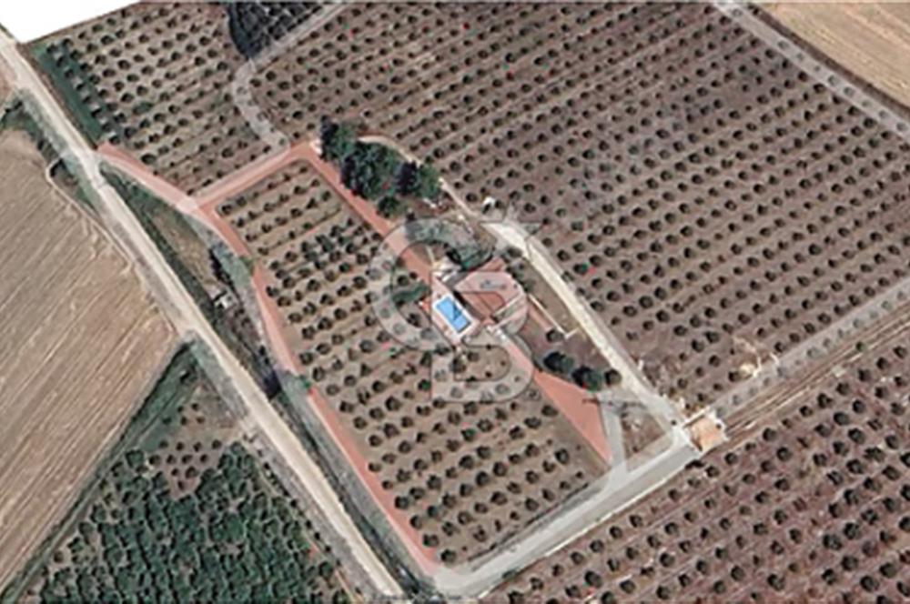 MUĞLA SEYDİKEMER EŞEN DE 37.968 m²