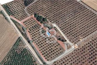 MUĞLA SEYDİKEMER EŞEN DE 37.968 m² - 6 - 309723