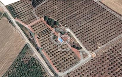 MUĞLA SEYDİKEMER EŞEN DE 37.968 m²