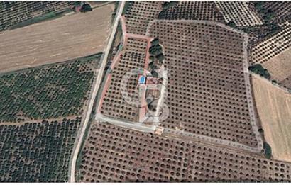 MUĞLA SEYDİKEMER EŞEN DE 37.968 m²