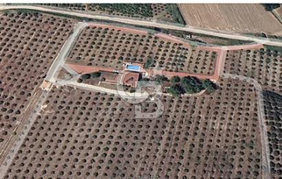 MUĞLA SEYDİKEMER EŞEN DE 37.968 m²