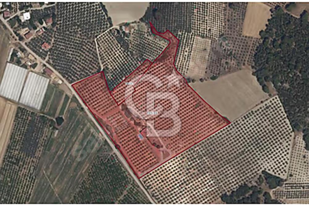 MUĞLA SEYDİKEMER EŞEN DE 37.968 m²