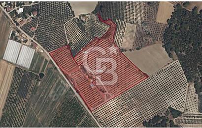 MUĞLA SEYDİKEMER EŞEN DE 37.968 m²