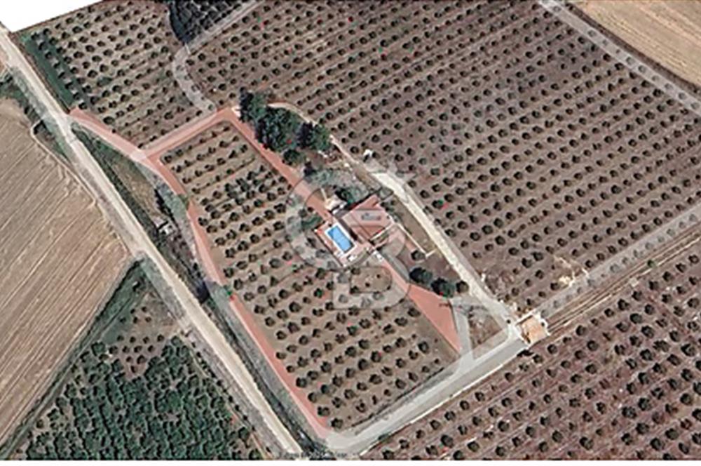 MUĞLA SEYDİKEMER EŞEN DE 37.968 m²