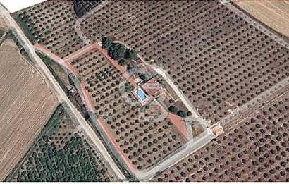 MUĞLA SEYDİKEMER EŞEN DE 37.968 m²