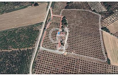 MUĞLA SEYDİKEMER EŞEN DE 37.968 m²