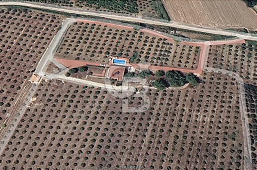 MUĞLA SEYDİKEMER EŞEN DE 37.968 m²