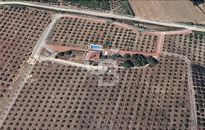 MUĞLA SEYDİKEMER EŞEN DE 37.968 m²