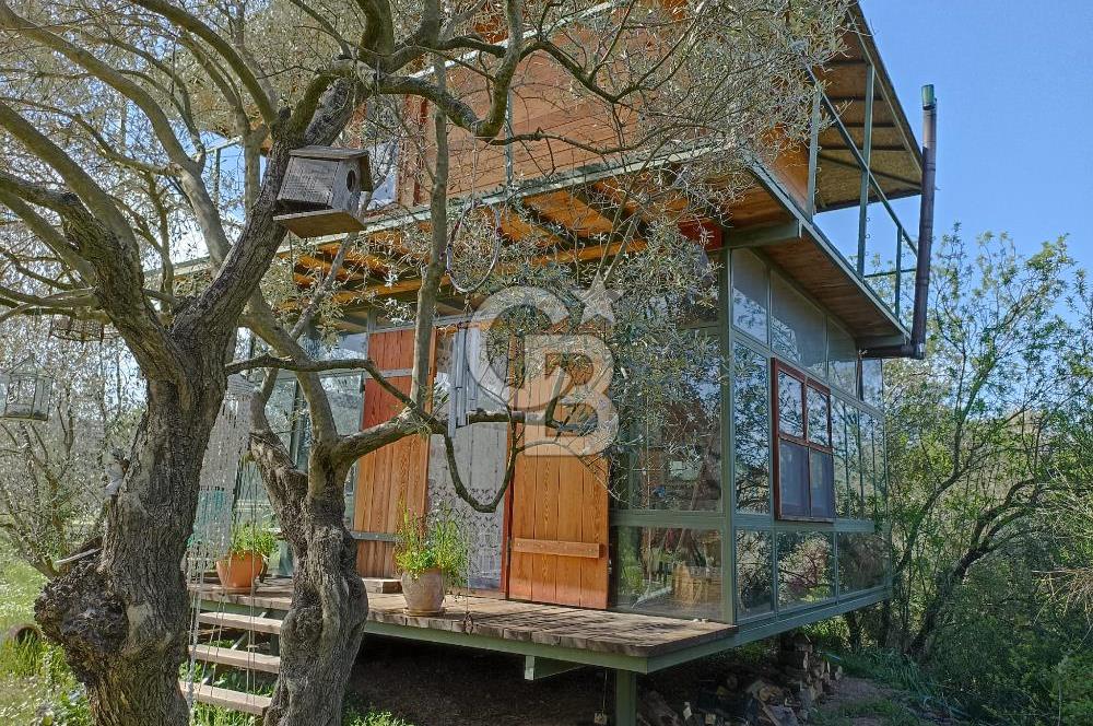 MENDERES COLDWELL BANKER POYRAZ'DAN TEK TAPULU ZEYTİNLİK