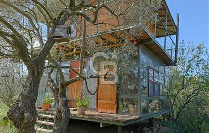 MENDERES COLDWELL BANKER POYRAZ'DAN TEK TAPULU ZEYTİNLİK