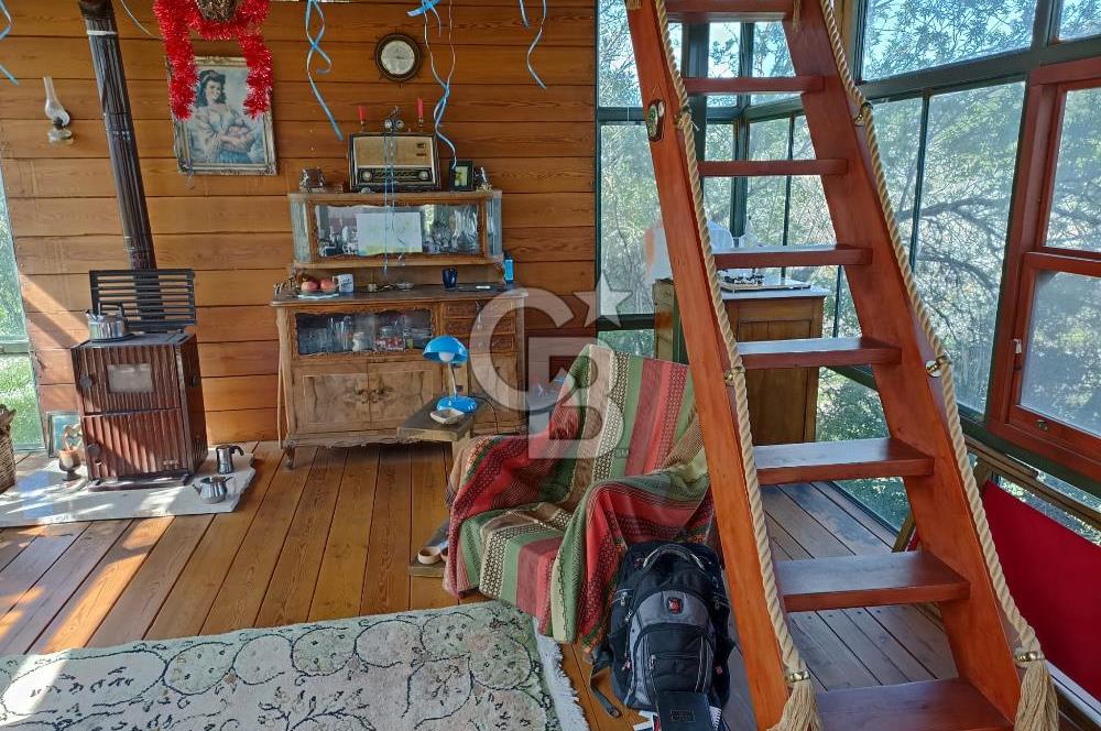 MENDERES COLDWELL BANKER POYRAZ'DAN TEK TAPULU ZEYTİNLİK