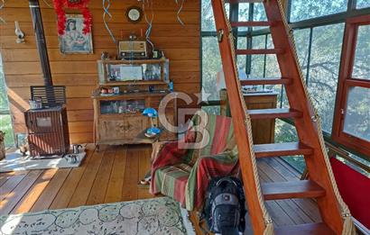 MENDERES COLDWELL BANKER POYRAZ'DAN TEK TAPULU ZEYTİNLİK