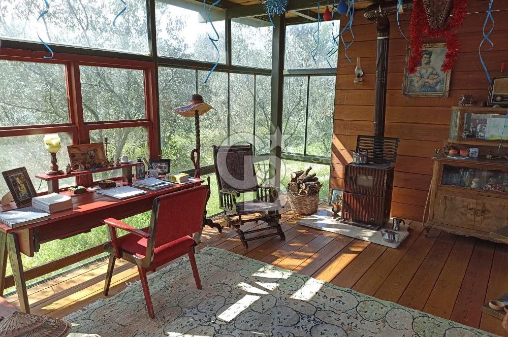 MENDERES COLDWELL BANKER POYRAZ'DAN TEK TAPULU ZEYTİNLİK