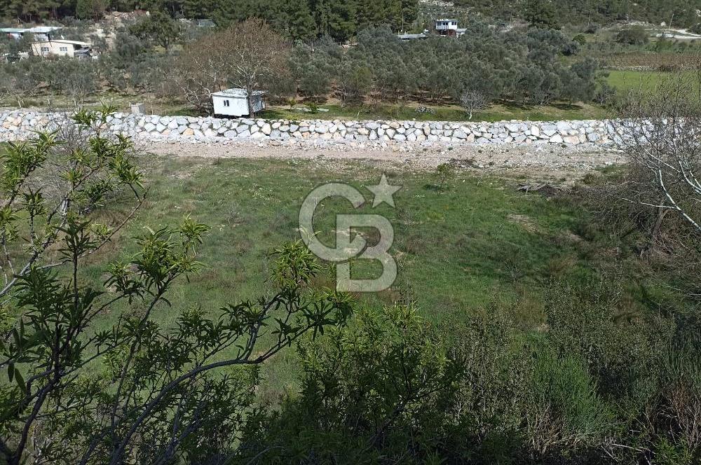 MENDERES COLDWELL BANKER POYRAZ'DAN TEK TAPULU ZEYTİNLİK