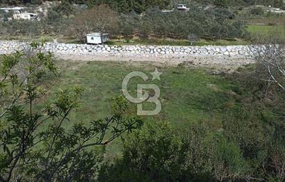 MENDERES COLDWELL BANKER POYRAZ'DAN TEK TAPULU ZEYTİNLİK