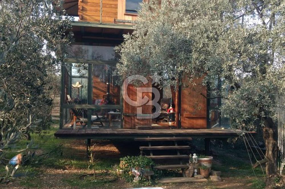 MENDERES COLDWELL BANKER POYRAZ'DAN TEK TAPULU ZEYTİNLİK