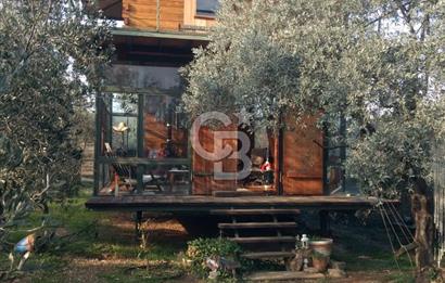 MENDERES COLDWELL BANKER POYRAZ'DAN TEK TAPULU ZEYTİNLİK