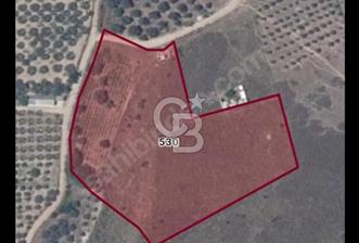 Avşa Adasında  Satılık Arsa