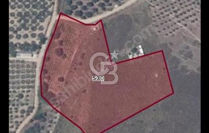 Avşa Adasında  Satılık Arsa