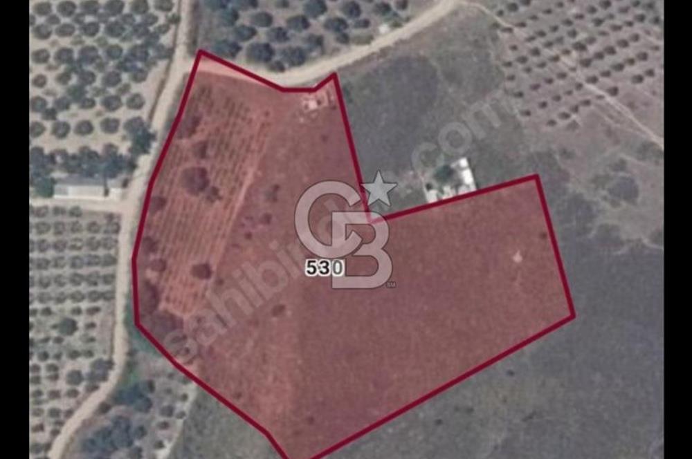 Avşa Adasında  Satılık Arsa