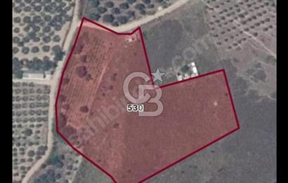 Avşa Adasında  Satılık Arsa