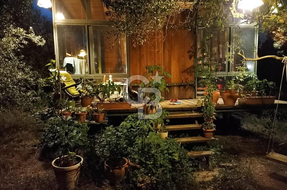 MENDERES COLDWELL BANKER POYRAZ'DAN TEK TAPULU ZEYTİNLİK