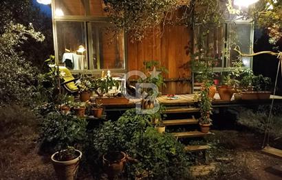 MENDERES COLDWELL BANKER POYRAZ'DAN TEK TAPULU ZEYTİNLİK