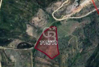 kutludüğün arsa hissesi