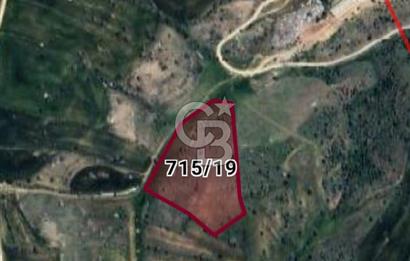 kutludüğün arsa hissesi