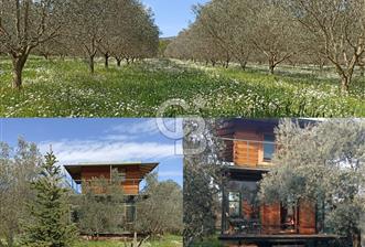 MENDERES COLDWELL BANKER POYRAZ'DAN TEK TAPULU ZEYTİNLİK - 8 - 310953