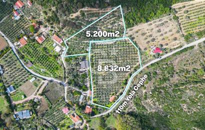 Urla, Kuşcular’da 110 Metre Kadastrol Yola Cepheli 14.030 m2 Tarla