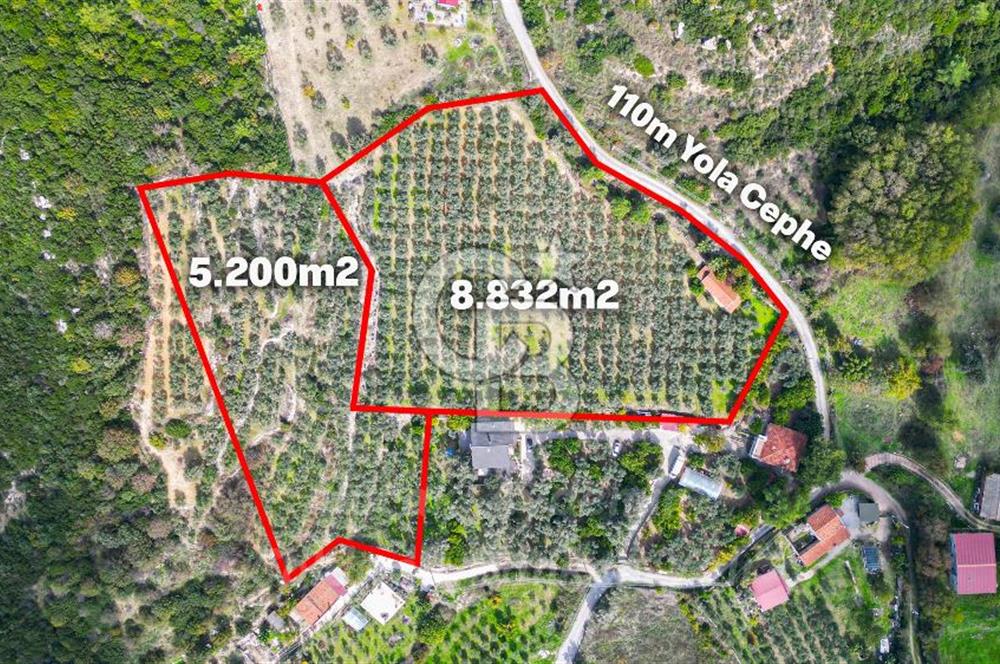 Urla, Kuşcular’da 110 Metre Kadastrol Yola Cepheli 14.030 m2 Tarla