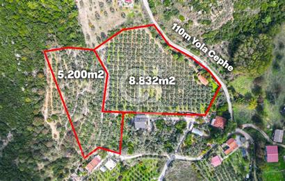 Urla, Kuşcular’da 110 Metre Kadastrol Yola Cepheli 14.030 m2 Tarla