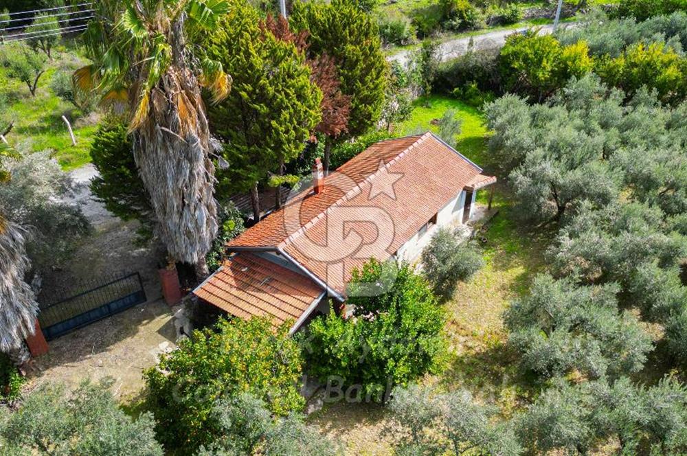 Urla, Kuşcular’da 110 Metre Kadastrol Yola Cepheli 14.030 m2 Tarla