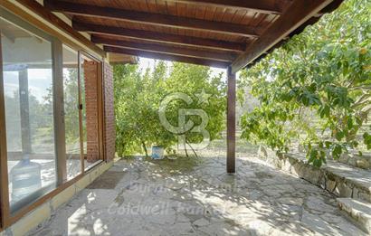 Urla, Kuşcular’da 110 Metre Kadastrol Yola Cepheli 14.030 m2 Tarla