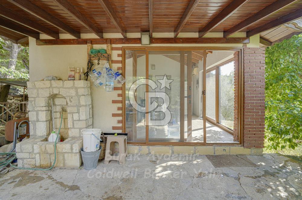 Urla, Kuşcular’da 110 Metre Kadastrol Yola Cepheli 14.030 m2 Tarla