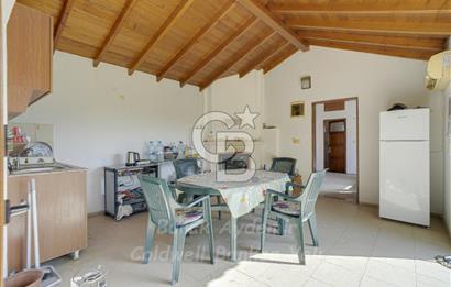 Urla, Kuşcular’da 110 Metre Kadastrol Yola Cepheli 14.030 m2 Tarla