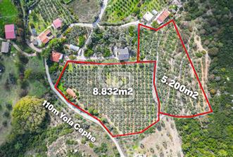 Urla, Kuşcular’da 110 Metre Kadastrol Yola Cepheli 14.030 m2 Tarla - 3 - 310969