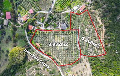 Urla, Kuşcular’da 110 Metre Kadastrol Yola Cepheli 14.030 m2 Tarla