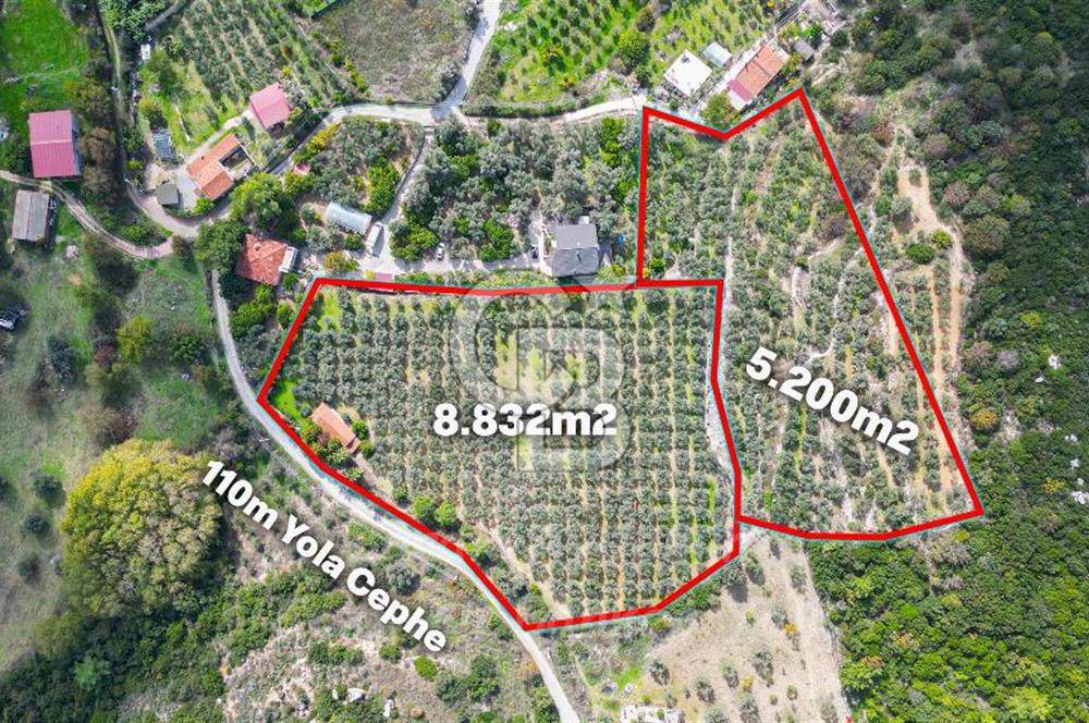 Urla, Kuşcular’da 110 Metre Kadastrol Yola Cepheli 14.030 m2 Tarla