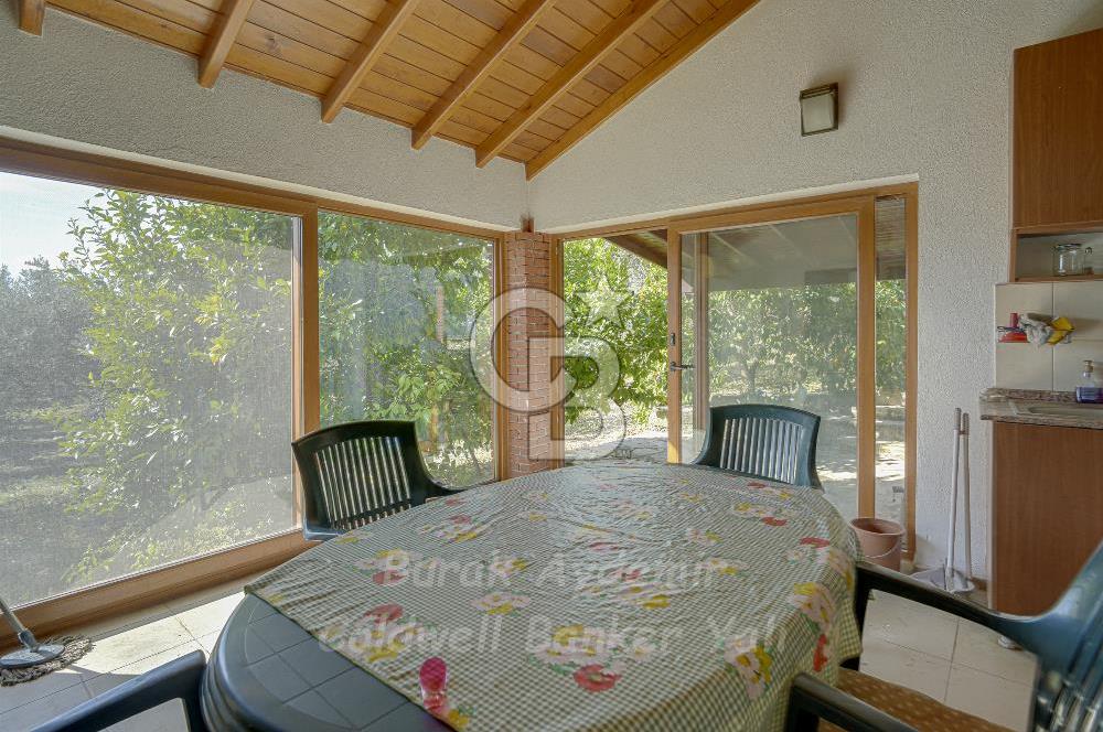 Urla, Kuşcular’da 110 Metre Kadastrol Yola Cepheli 14.030 m2 Tarla