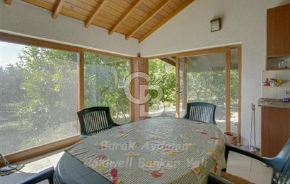 Urla, Kuşcular’da 110 Metre Kadastrol Yola Cepheli 14.030 m2 Tarla