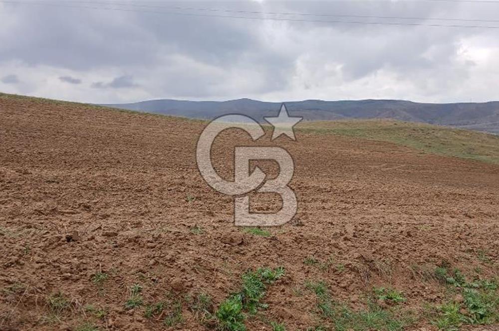 KIRIKKALE'DE TÜPRAŞ'A KOMŞU 417 m² FIRSAT ARSA