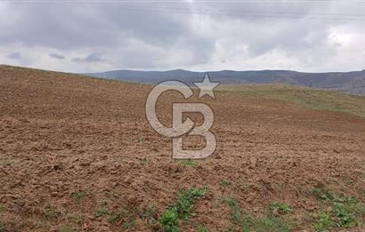 KIRIKKALE'DE TÜPRAŞ'A KOMŞU 417 m² FIRSAT ARSA