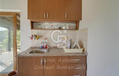 Urla, Kuşcular’da 110 Metre Kadastrol Yola Cepheli 14.030 m2 Tarla