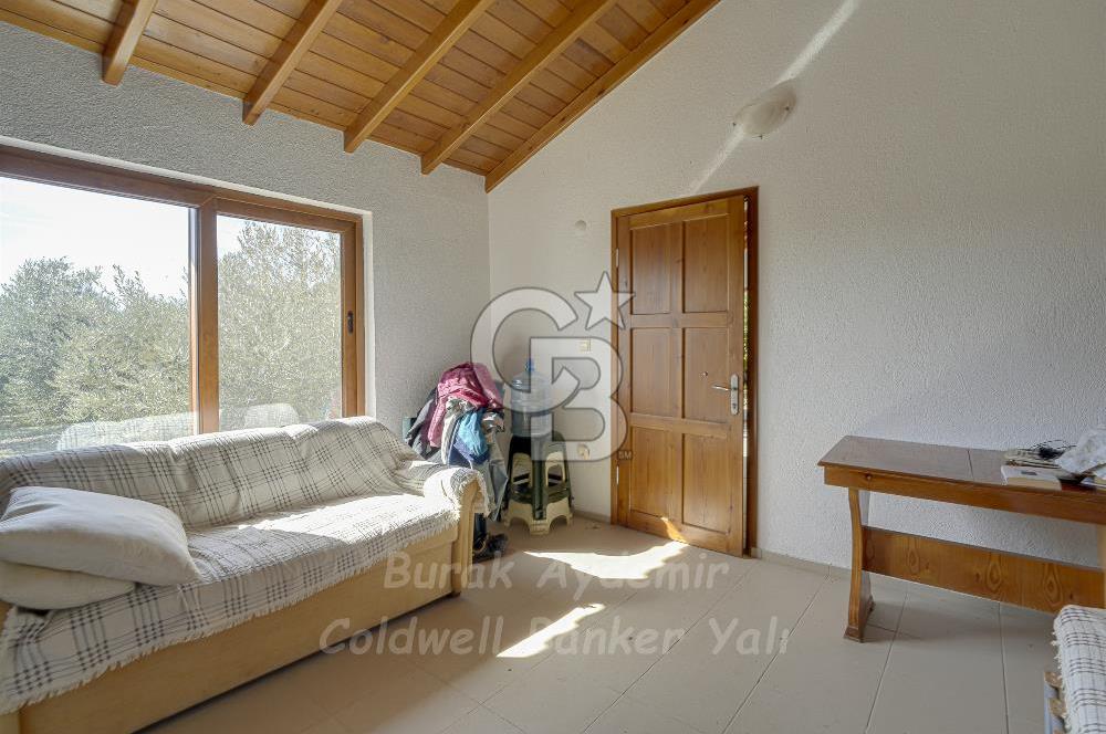 Urla, Kuşcular’da 110 Metre Kadastrol Yola Cepheli 14.030 m2 Tarla